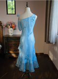 Cute Blue Beaded Ruffled Collar Birthday Party Homecoming Dress HZ1022